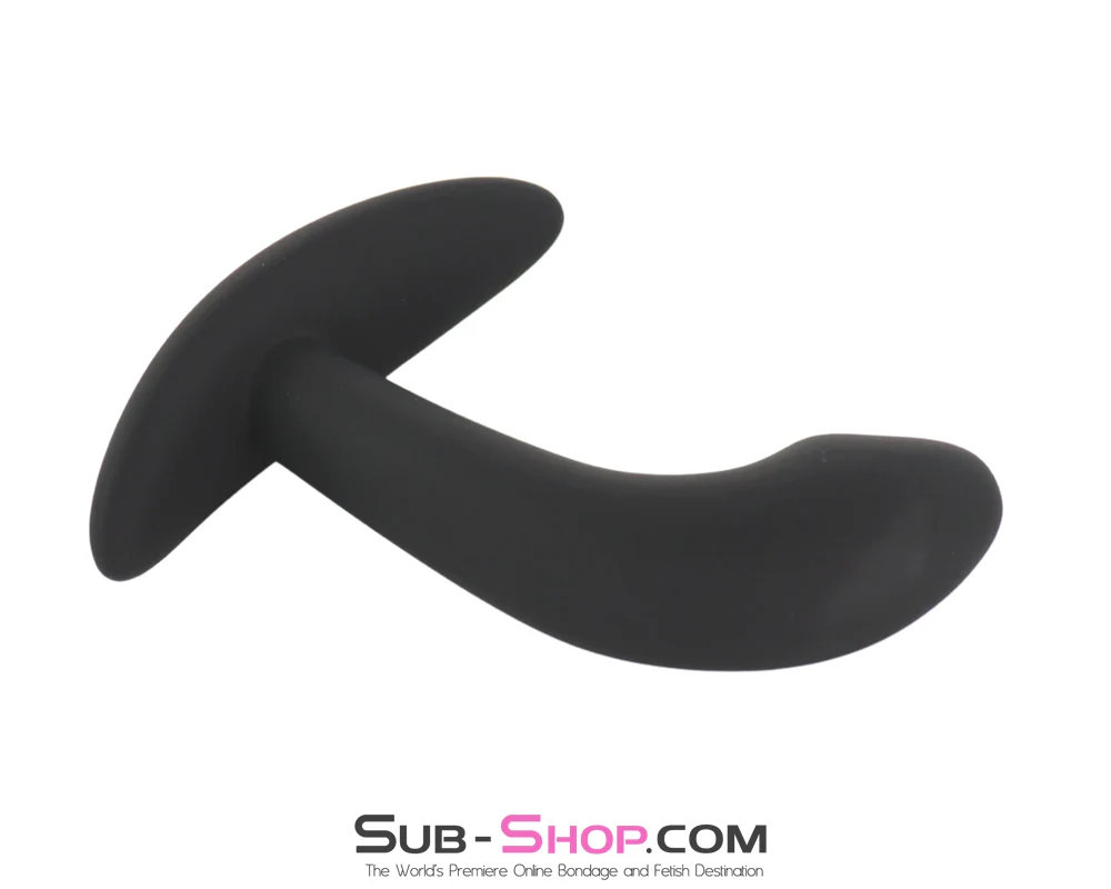 1329M  Electric Shock Prostate Trainer - E-Stim Anal Plug with Digital Controller & Remote - Image 6