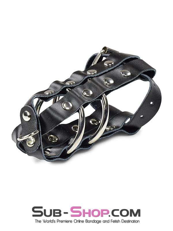 1797DL      Lockable Cock & Balls Cage with Lead Ring Tip - MEGA Deal - Image 3