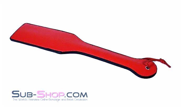1837LT      SLAVE Paddle - Image 11